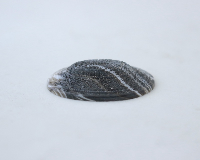 Mozaic Stone